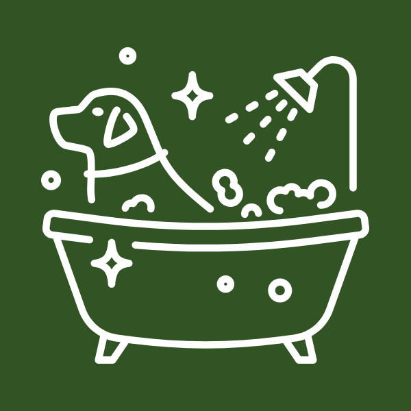 scrolling contnet image