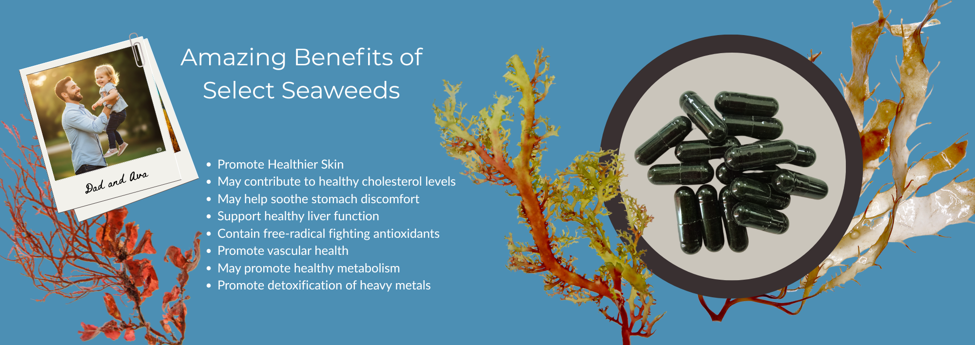 slideshow background