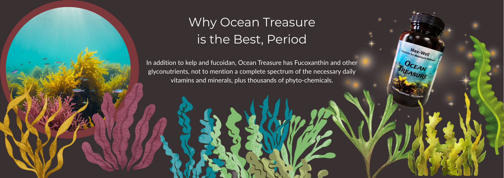 slideshow background