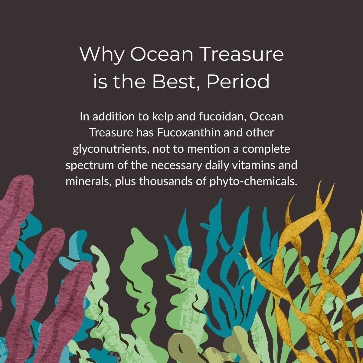 slideshow mobile background image