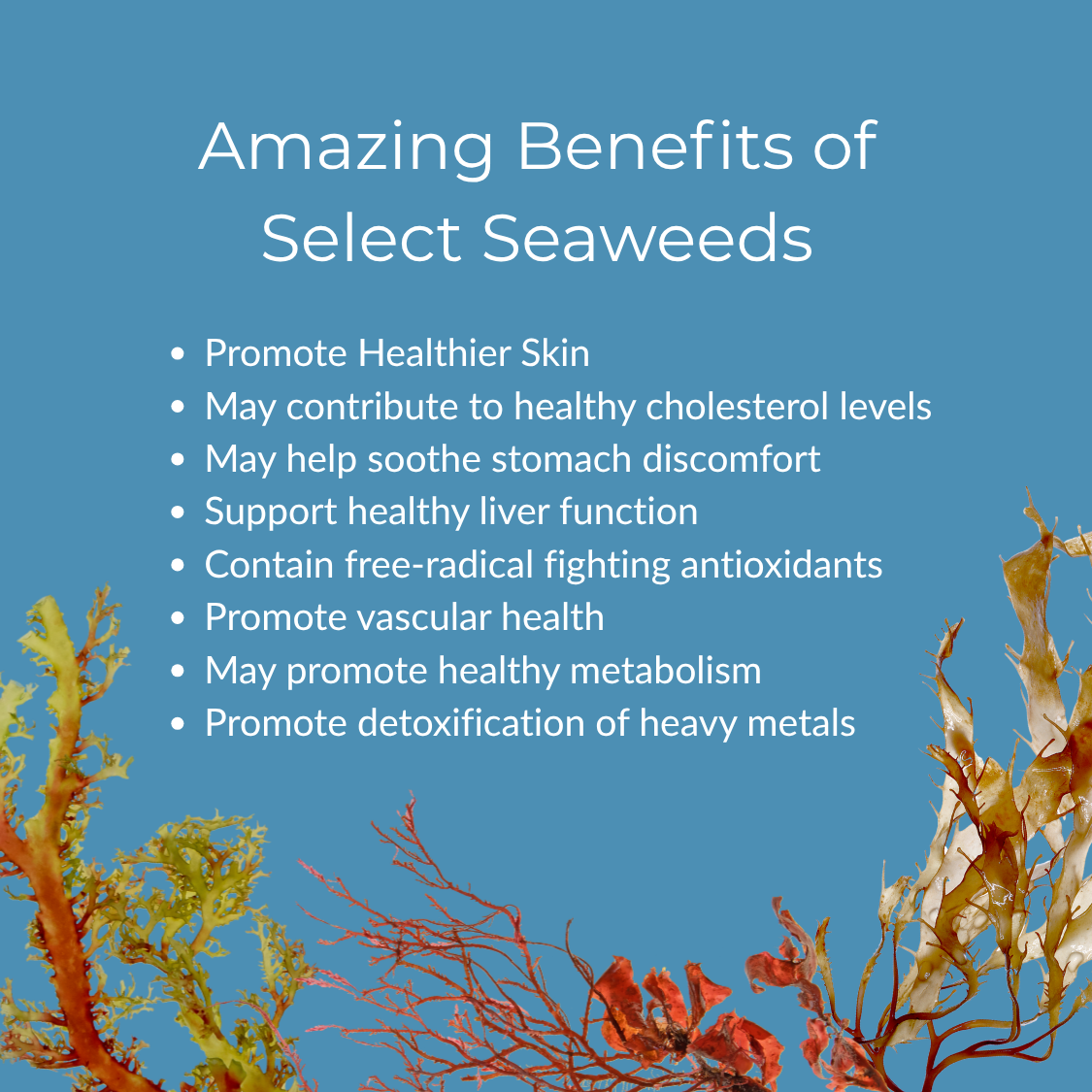 slideshow mobile background image