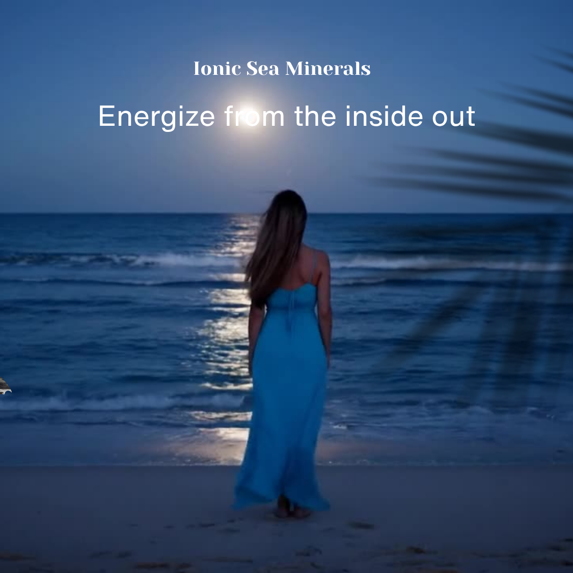 slideshow mobile background image