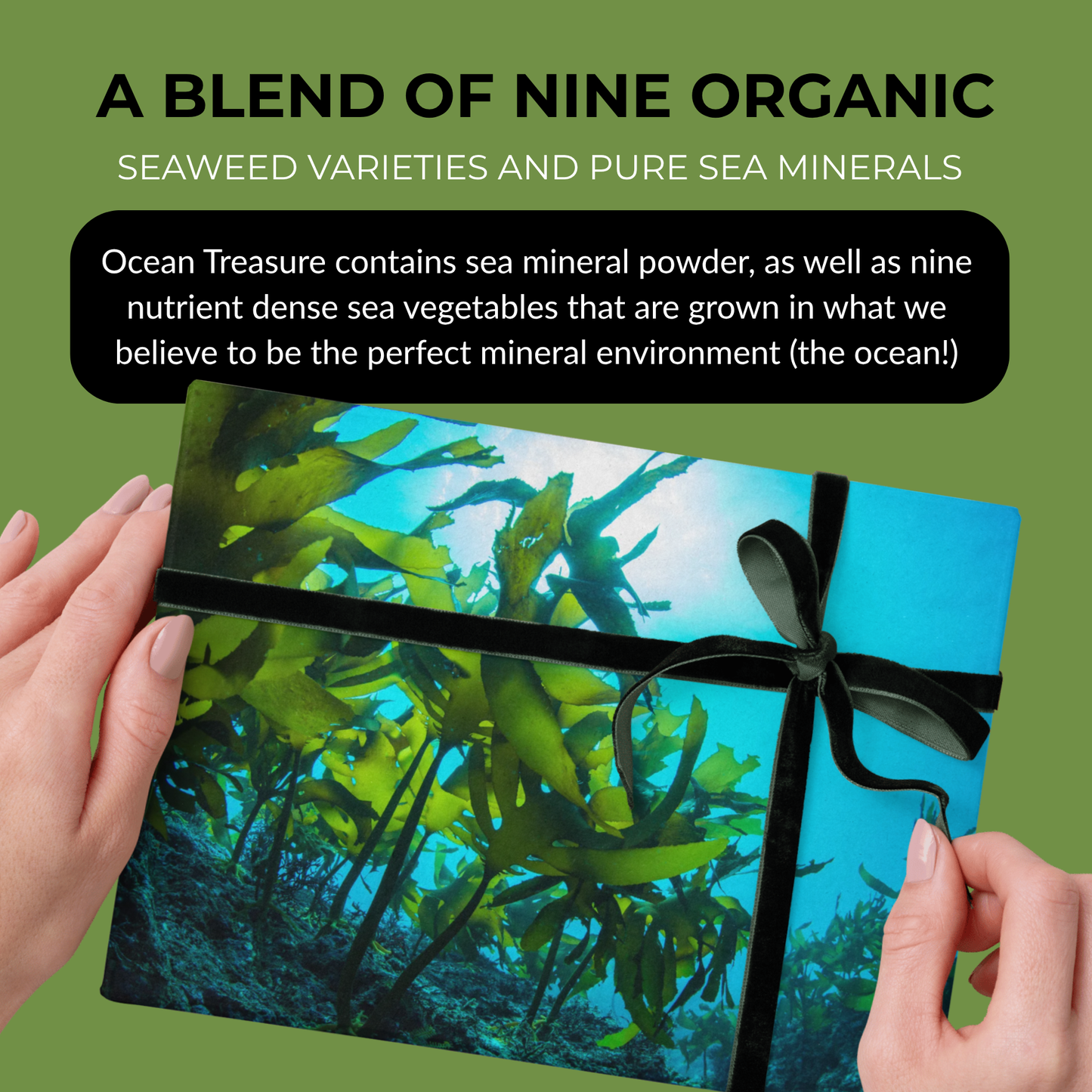 Ocean Treasure™ Scoopable Powder,  90 servings