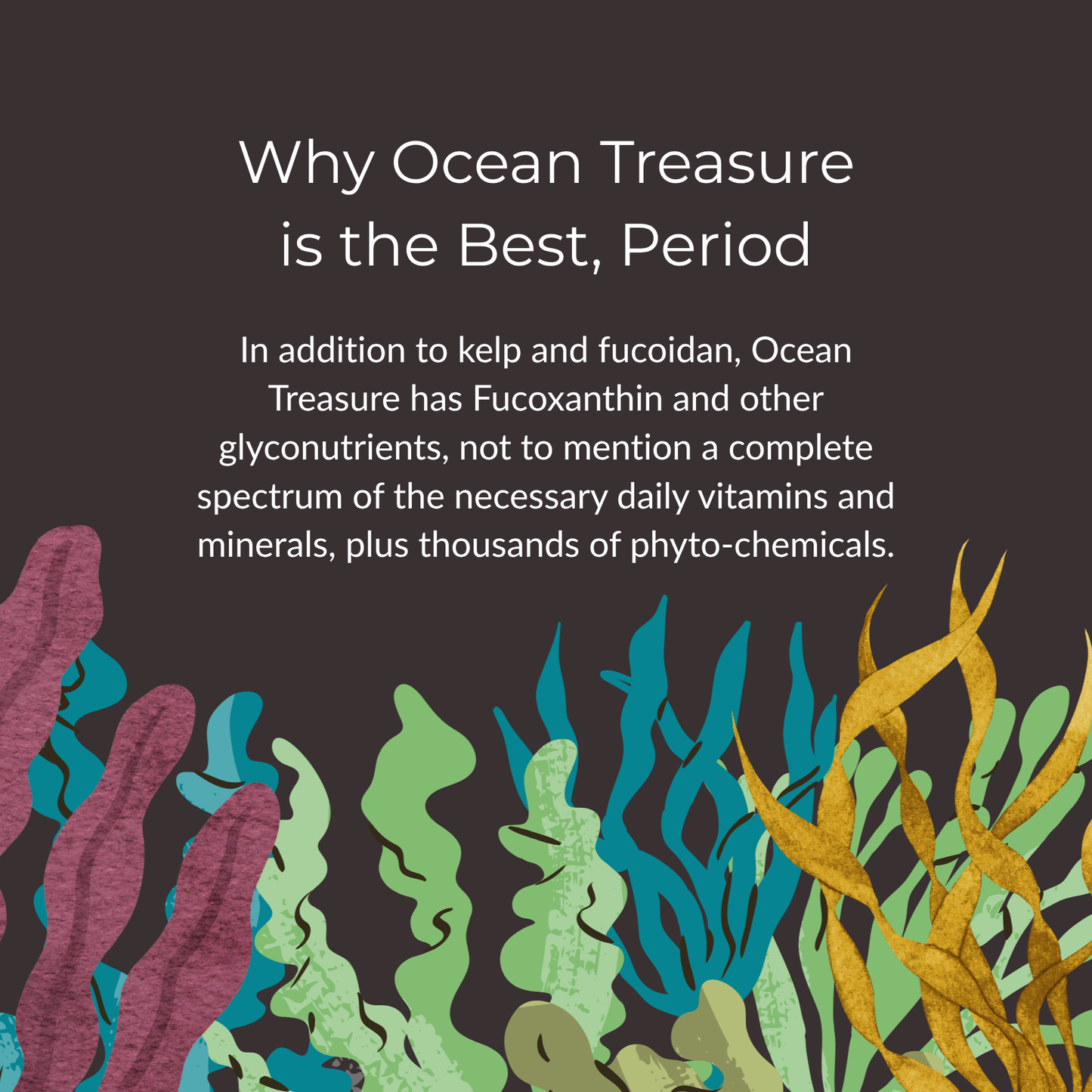 Ocean Treasure™ Scoopable Powder,  90 servings