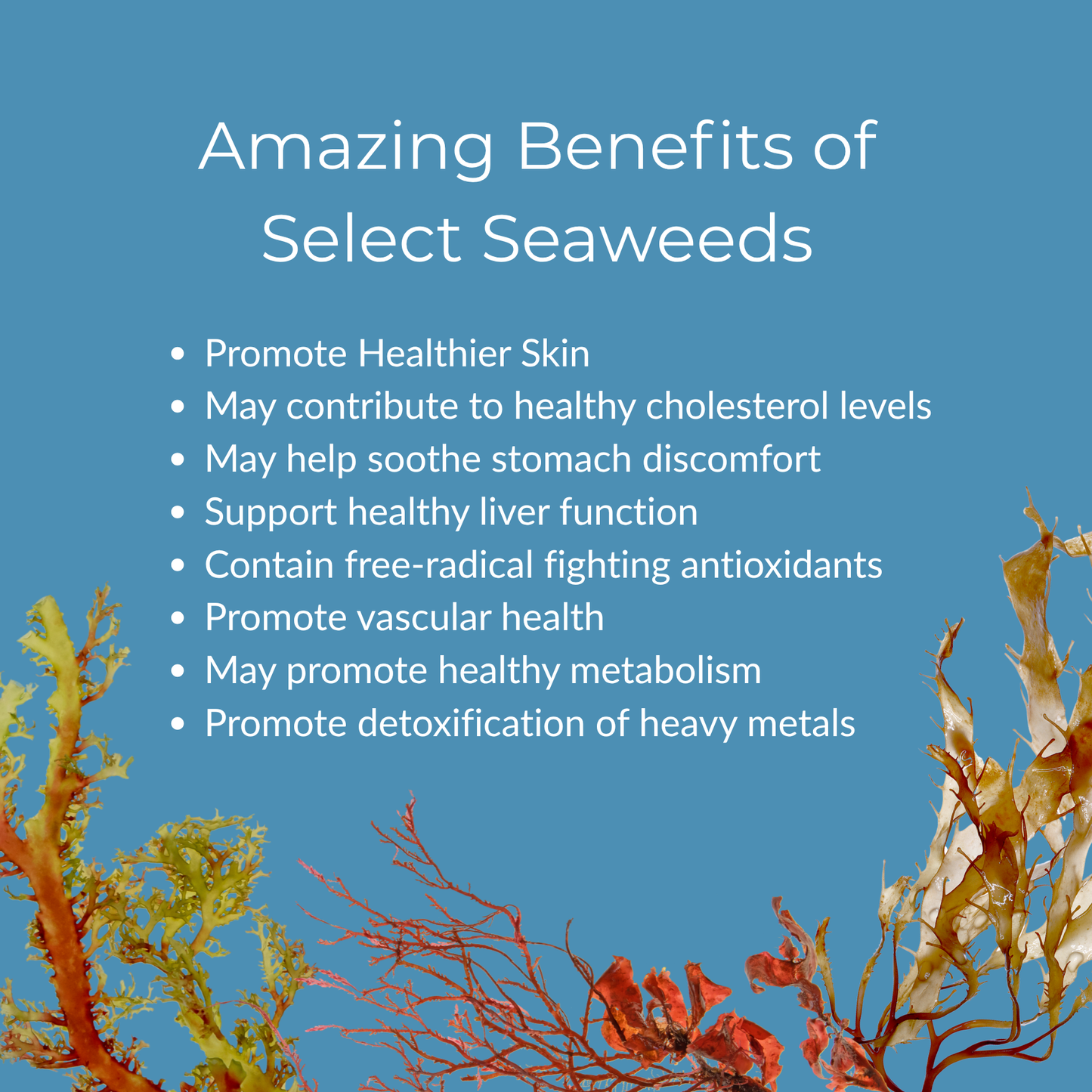 Ocean Treasure™ Scoopable Powder,  90 servings