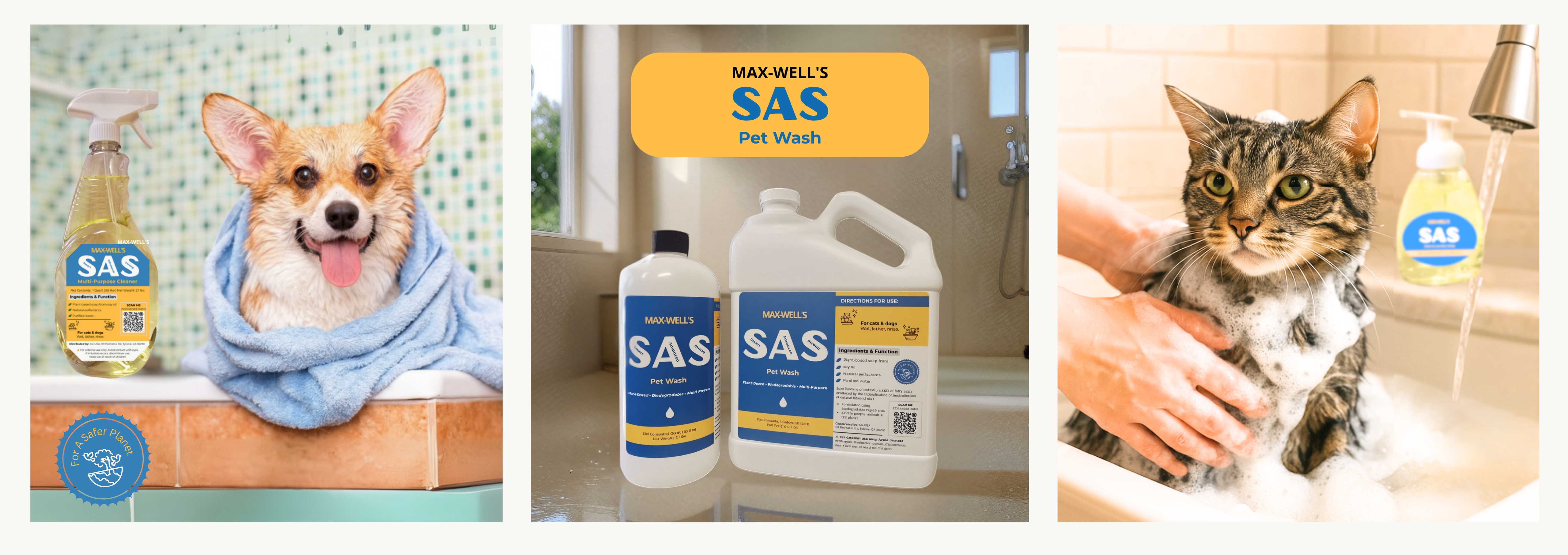 slideshow background