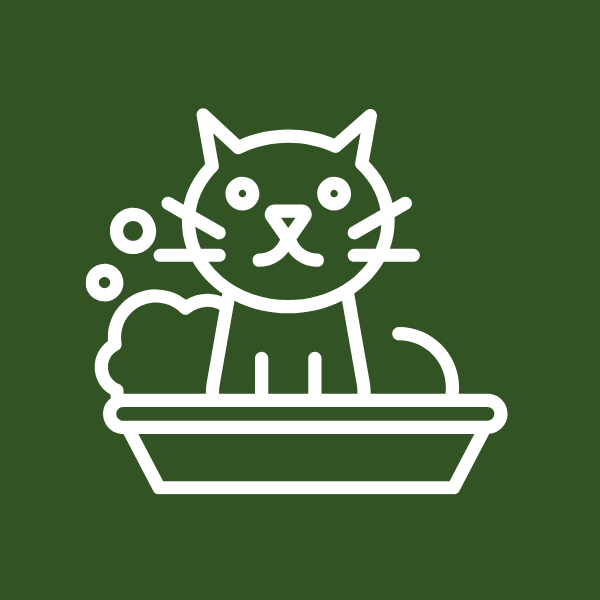 scrolling contnet image