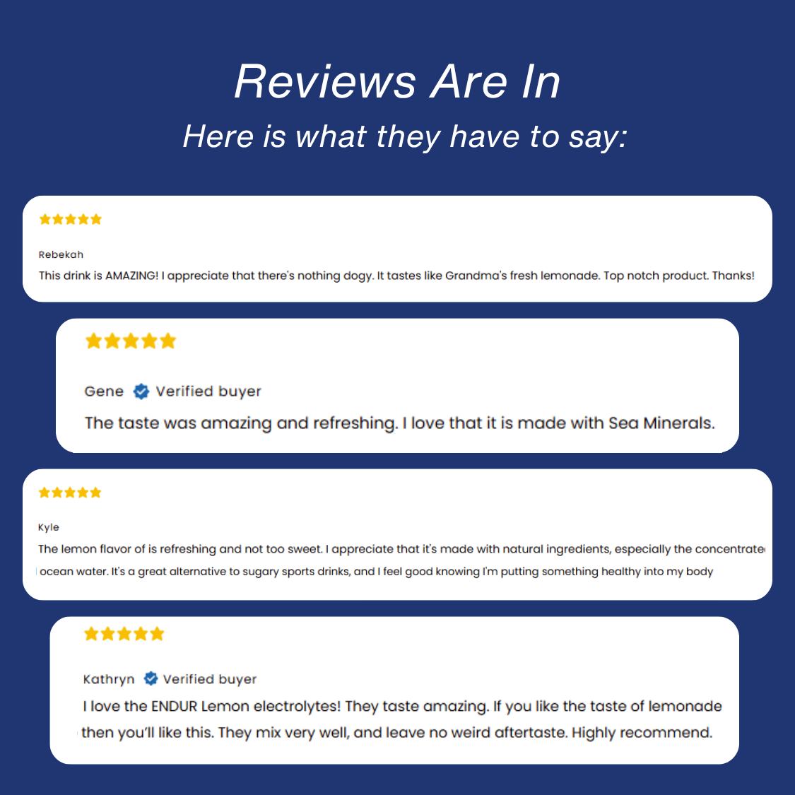 ENDUR Electrolyte Rehydration Mix, Lemon