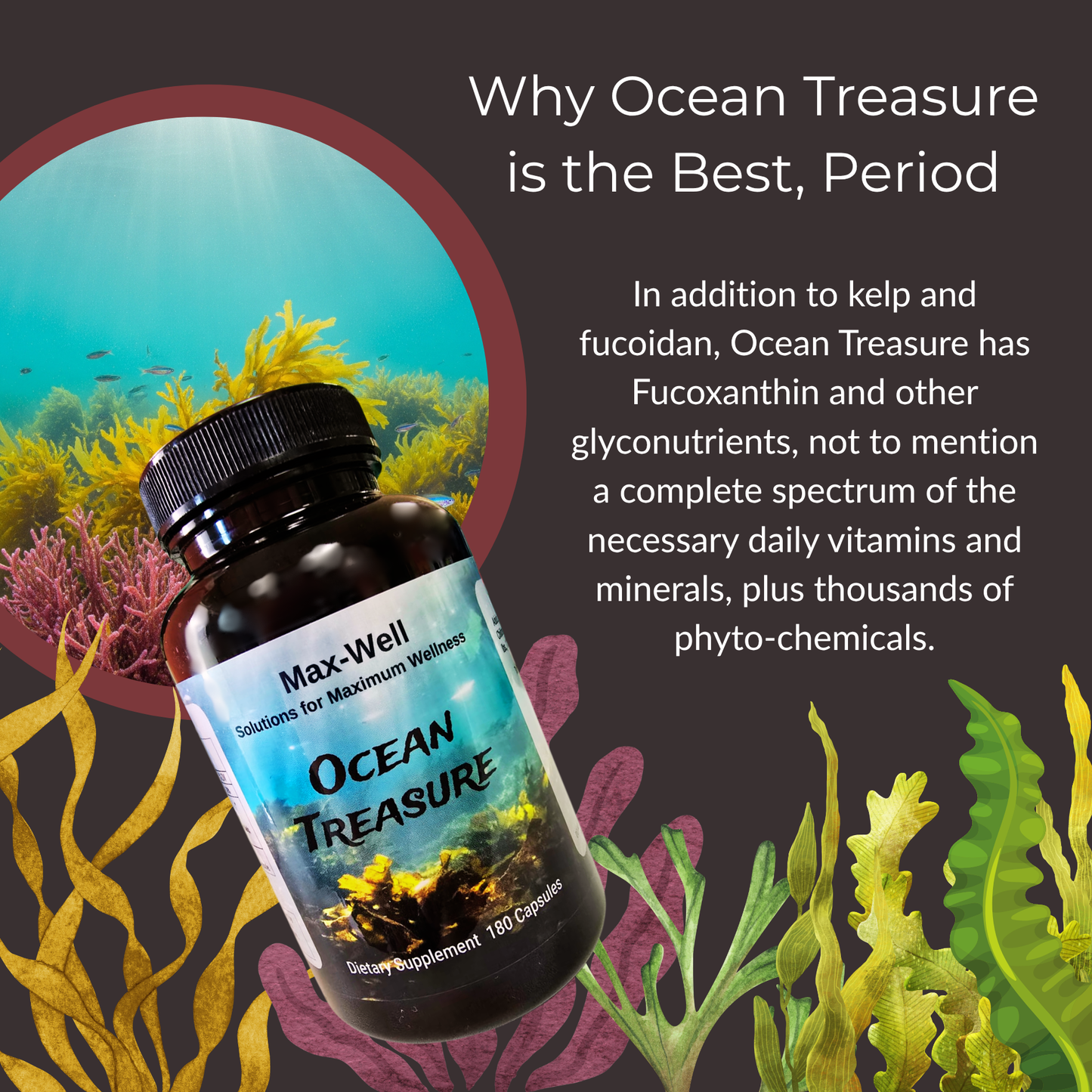 Ocean Treasure™, 180 capsules/bottle